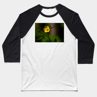 Closeup of a bright yellow buttercup Baseball T-Shirt